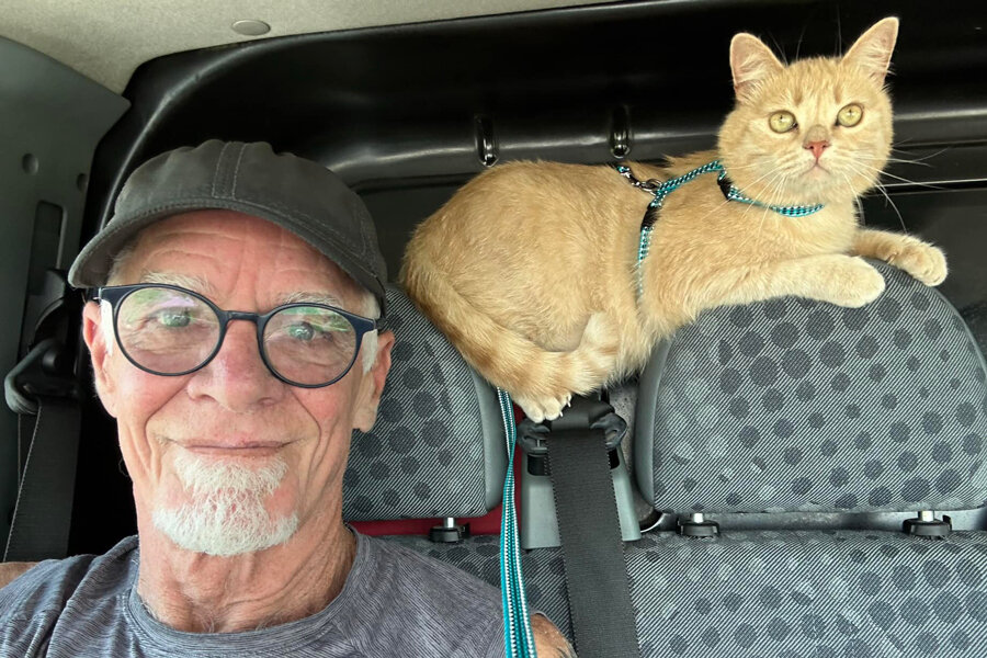Tom Bates came home with a refugee, a street cat named Bobby Reznick. “His favorite toy is a lightbulb.”